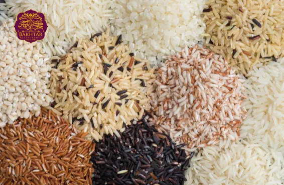 بهترین برنج ایران
