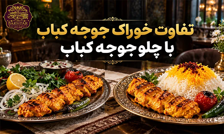 تفاوت خوراک جوجه کباب با چلو جوجه کباب